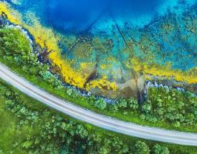 arial view of a road through trees beside tropical water